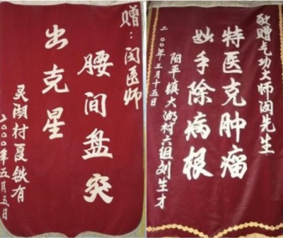七一礼赞：豫西大地的中医守护者---记灵宝市中医从业者闵繁君